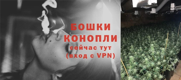 круглые Корсаков