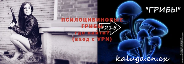 круглые Корсаков